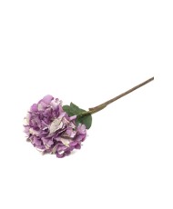 Purple Hydrangea for wedding